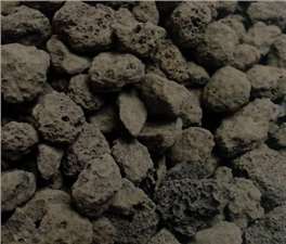 {$Model.Model.Title}